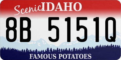 ID license plate 8B5151Q
