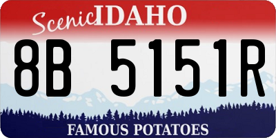 ID license plate 8B5151R