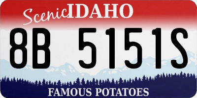 ID license plate 8B5151S