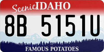 ID license plate 8B5151U