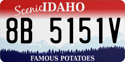 ID license plate 8B5151V