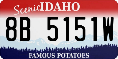 ID license plate 8B5151W