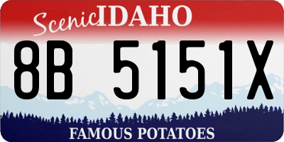 ID license plate 8B5151X