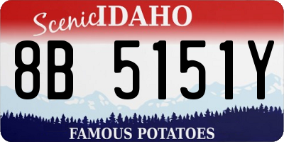 ID license plate 8B5151Y