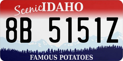 ID license plate 8B5151Z