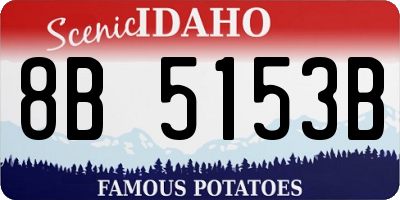 ID license plate 8B5153B