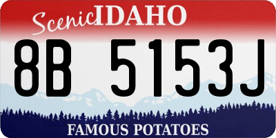 ID license plate 8B5153J