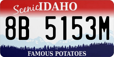 ID license plate 8B5153M