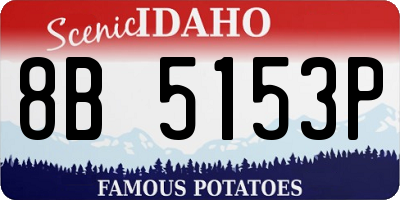 ID license plate 8B5153P