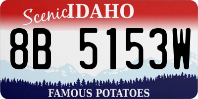 ID license plate 8B5153W