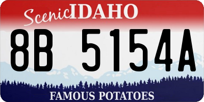 ID license plate 8B5154A