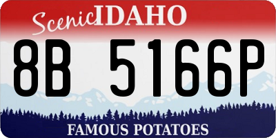 ID license plate 8B5166P