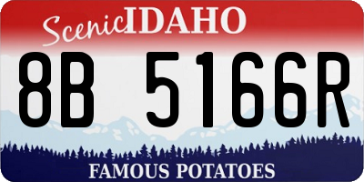 ID license plate 8B5166R