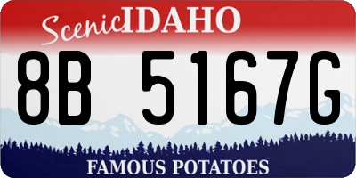 ID license plate 8B5167G