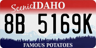 ID license plate 8B5169K