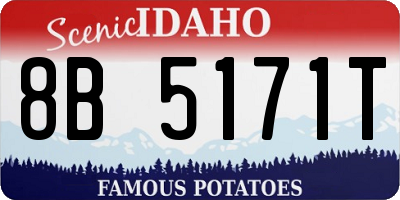 ID license plate 8B5171T