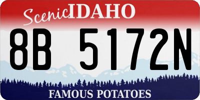 ID license plate 8B5172N