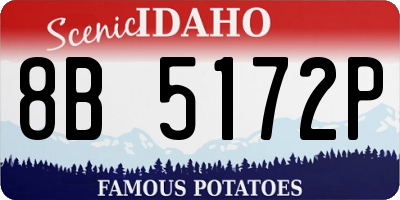 ID license plate 8B5172P