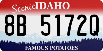 ID license plate 8B5172Q