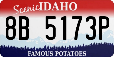ID license plate 8B5173P