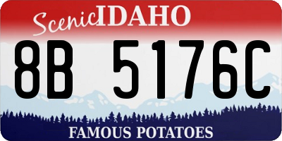 ID license plate 8B5176C