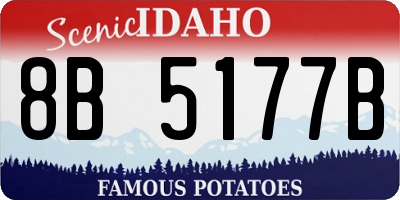 ID license plate 8B5177B