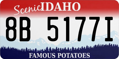 ID license plate 8B5177I