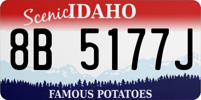 ID license plate 8B5177J