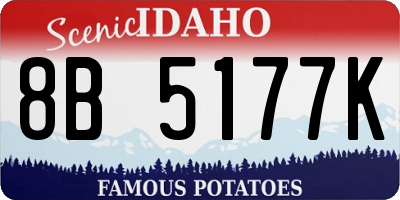 ID license plate 8B5177K