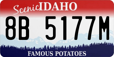 ID license plate 8B5177M