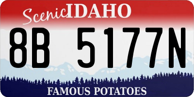 ID license plate 8B5177N