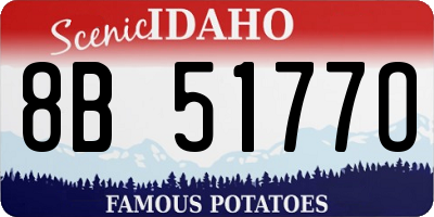 ID license plate 8B5177O