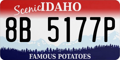 ID license plate 8B5177P