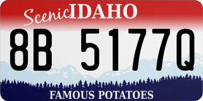 ID license plate 8B5177Q