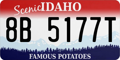 ID license plate 8B5177T