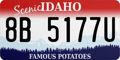 ID license plate 8B5177U