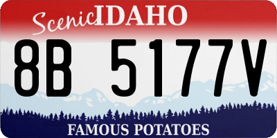ID license plate 8B5177V