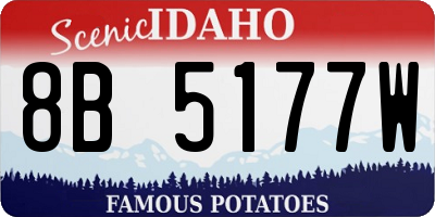ID license plate 8B5177W