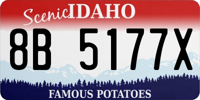 ID license plate 8B5177X