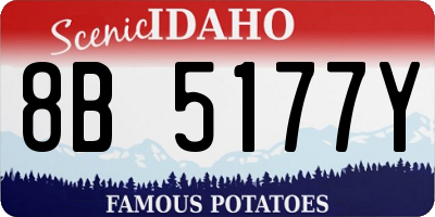 ID license plate 8B5177Y