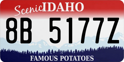 ID license plate 8B5177Z