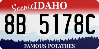 ID license plate 8B5178C