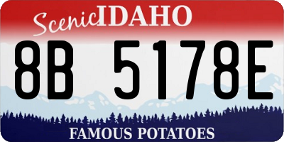 ID license plate 8B5178E
