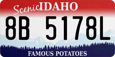 ID license plate 8B5178L