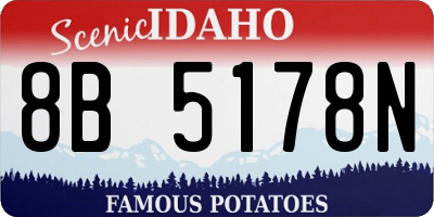 ID license plate 8B5178N