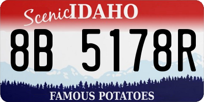 ID license plate 8B5178R