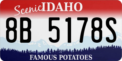 ID license plate 8B5178S