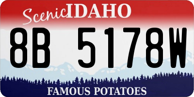 ID license plate 8B5178W