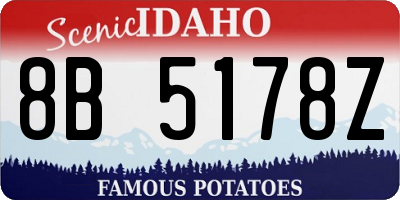 ID license plate 8B5178Z