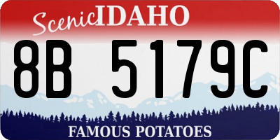 ID license plate 8B5179C